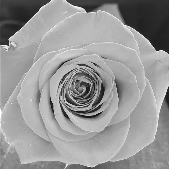 Meet your Posher, Michele - Picture 1 of 2